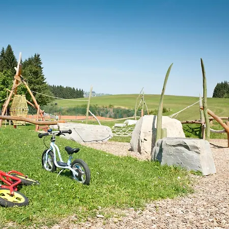 Feriendorf Reichenbach - Gamssteige 11 펜션